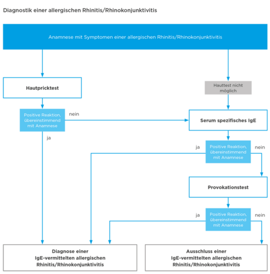 Algorithmus zur Untersuchung von Patienten mit einem Verdacht auf eine IgE-vermittelte allergische Rhinitis oder Rhinokonjunktivitis 